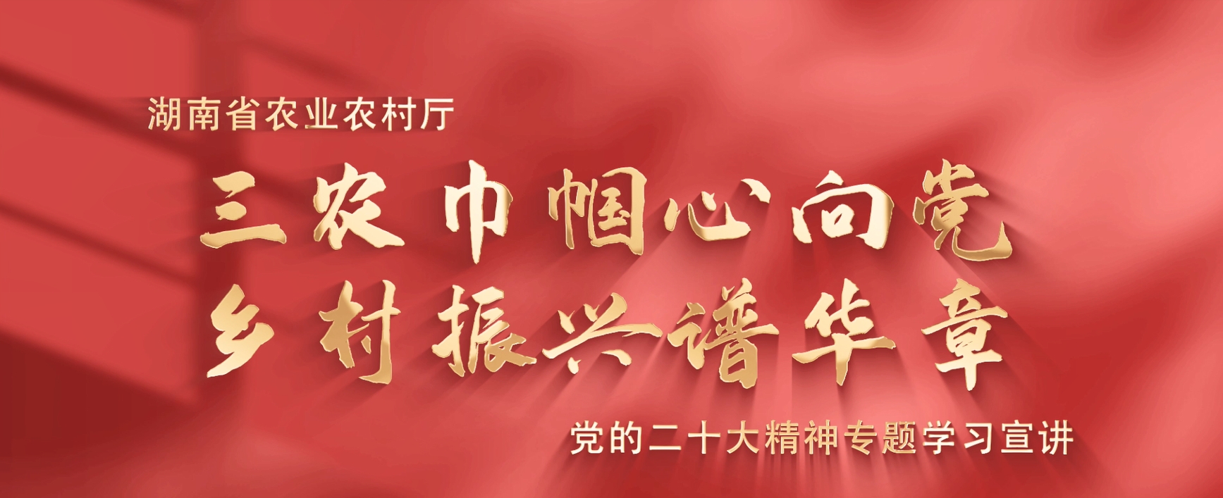 “三農巾幗心向黨 鄉(xiāng)村振興譜華章”黨的...
